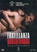 Fratellanza - Brotherhood