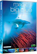 Magic of the big blue