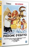 Piedone d'Egitto