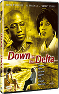 Down in the Delta