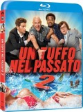 Un tuffo nel passato 2 (Blu-Ray)