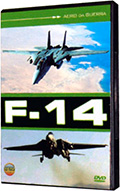 Dogfight - F-14