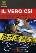 Il vero C.S.I.