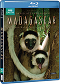 Madagascar (Blu-Ray)