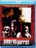 Amores perros (Blu-Ray)