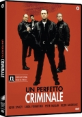 Un perfetto criminale