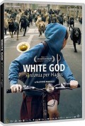 White god