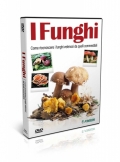 I funghi