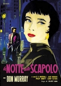 La notte dello scapolo