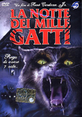 La notte dei mille gatti